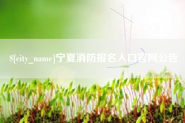 达州宁夏消防报名入口官网公告