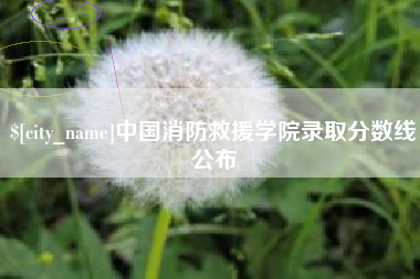 达州中国消防救援学院录取分数线公布