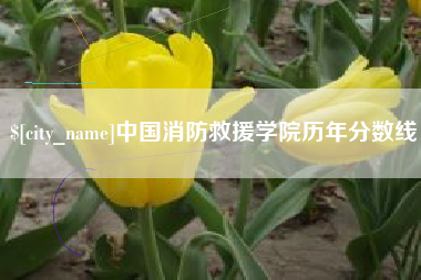 达州中国消防救援学院历年分数线