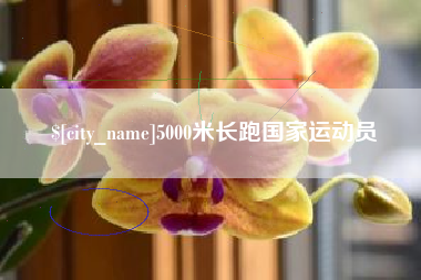 达州5000米长跑国家运动员