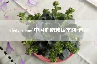 达州中国消防救援学院 老师