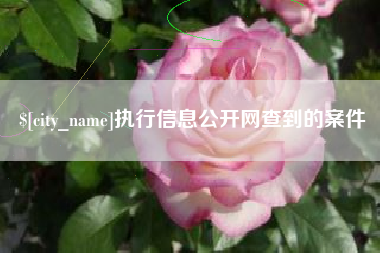 达州执行信息公开网查到的案件