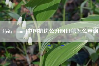 达州中国执法公开网征信怎么查询