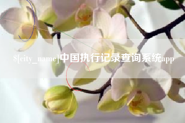达州中国执行记录查询系统app