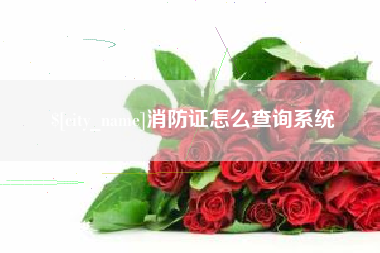 达州消防证怎么查询系统