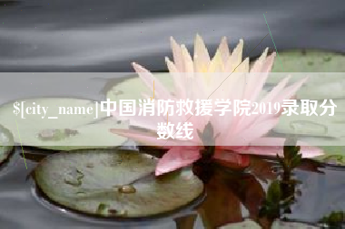 达州中国消防救援学院2019录取分数线
