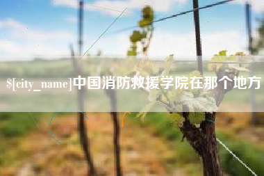 达州中国消防救援学院在那个地方
