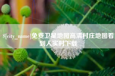 达州免费卫星地图高清村庄地图看到人实时下载