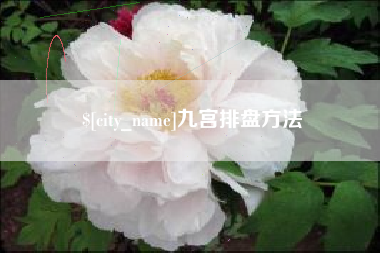 达州九宫排盘方法