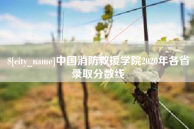 达州中国消防救援学院2020年各省录取分数线