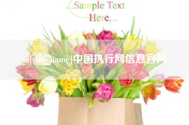 达州中国执行网信息官网