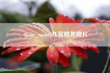 达州九宫格龙图片