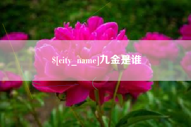 达州九金是谁