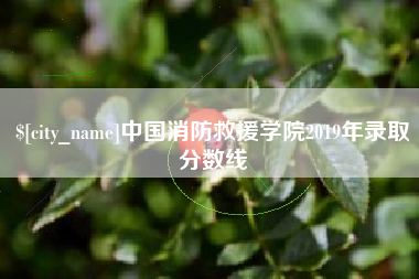 达州中国消防救援学院2019年录取分数线