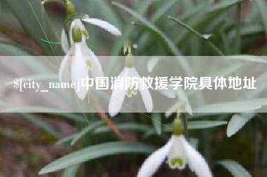 达州中国消防救援学院具体地址
