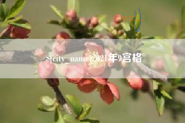 达州2021年9宫格