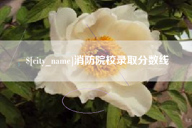 达州消防院校录取分数线