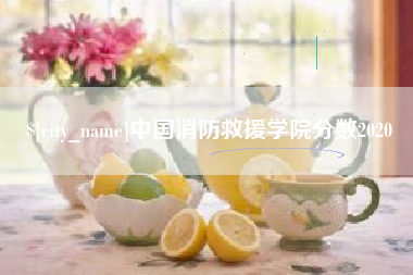 达州中国消防救援学院分数2020