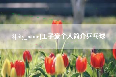 达州王子豪个人简介乒乓球