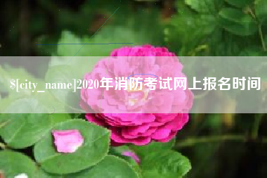 达州2020年消防考试网上报名时间