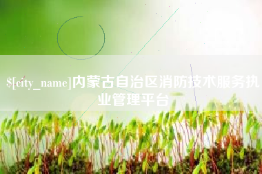 达州内蒙古自治区消防技术服务执业管理平台
