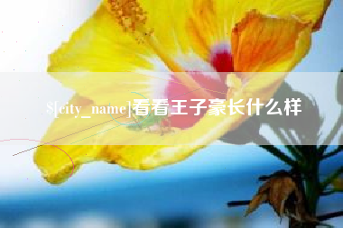 达州看看王子豪长什么样