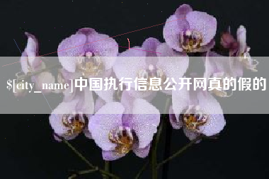 达州中国执行信息公开网真的假的