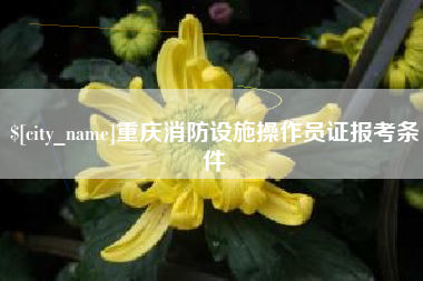 达州重庆消防设施操作员证报考条件