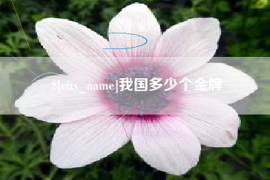 达州我国多少个金牌