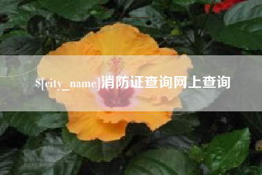达州消防证查询网上查询
