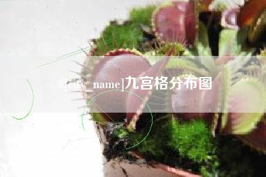 达州九宫格分布图