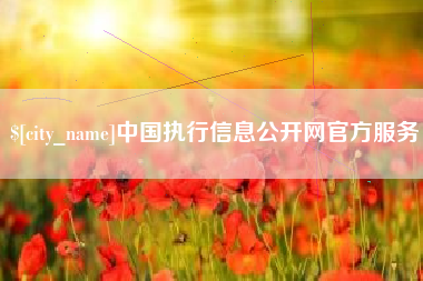 达州中国执行信息公开网官方服务