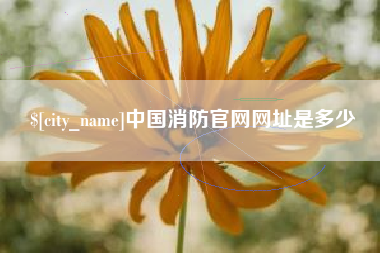 达州中国消防官网网址是多少
