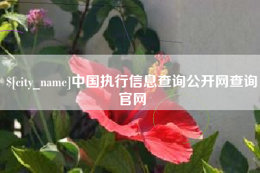 达州中国执行信息查询公开网查询官网