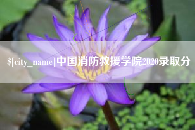 达州中国消防救援学院2020录取分