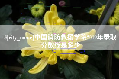 达州中国消防救援学院2019年录取分数线是多少