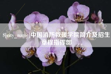 达州中国消防救援学院简介及招生章程指挥部