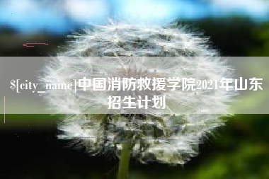 达州中国消防救援学院2021年山东招生计划
