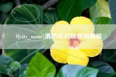 达州消防证初级查询系统