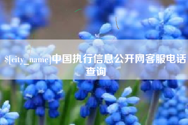 达州中国执行信息公开网客服电话查询