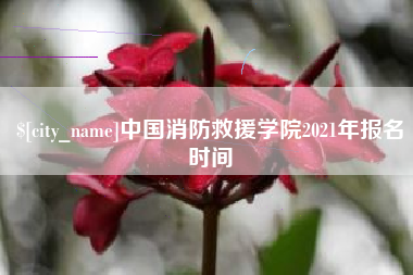 达州中国消防救援学院2021年报名时间