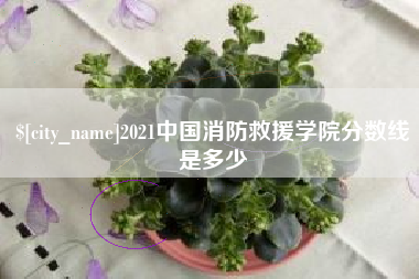 达州2021中国消防救援学院分数线是多少