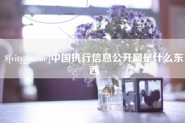 达州中国执行信息公开网是什么东西
