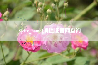 达州消控证官网查询