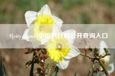 达州中国执行网公开查询入口