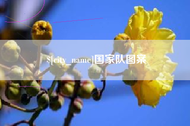 达州国家队图案