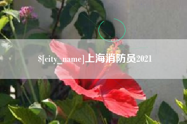 达州上海消防员2021