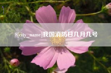 达州我国消防日几月几号