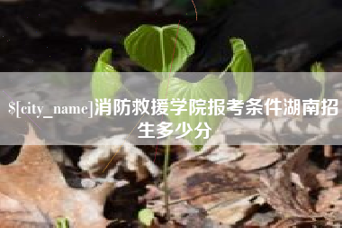 达州消防救援学院报考条件湖南招生多少分