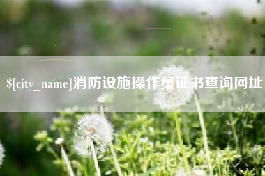 达州消防设施操作员证书查询网址